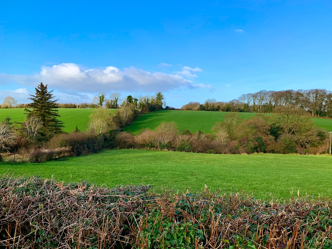 Photo Irish countryside